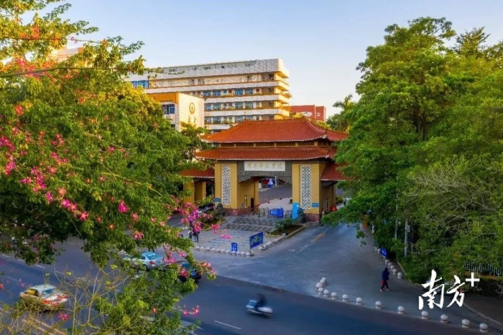 22个湛江高校这些专业拟推荐为省级一流本科专业