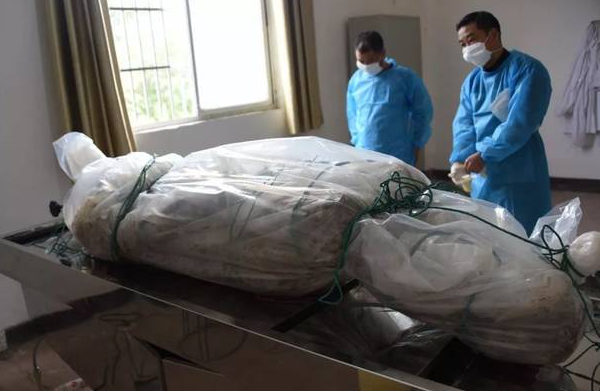 一具尸体突然睁开眼睛光着身体在停尸房乱跑吓坏一群医学生