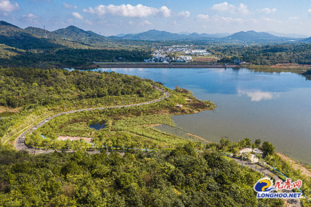 南京江宁致富致美精致蝶变为打造乡村颐养示范贡献龙尚力量