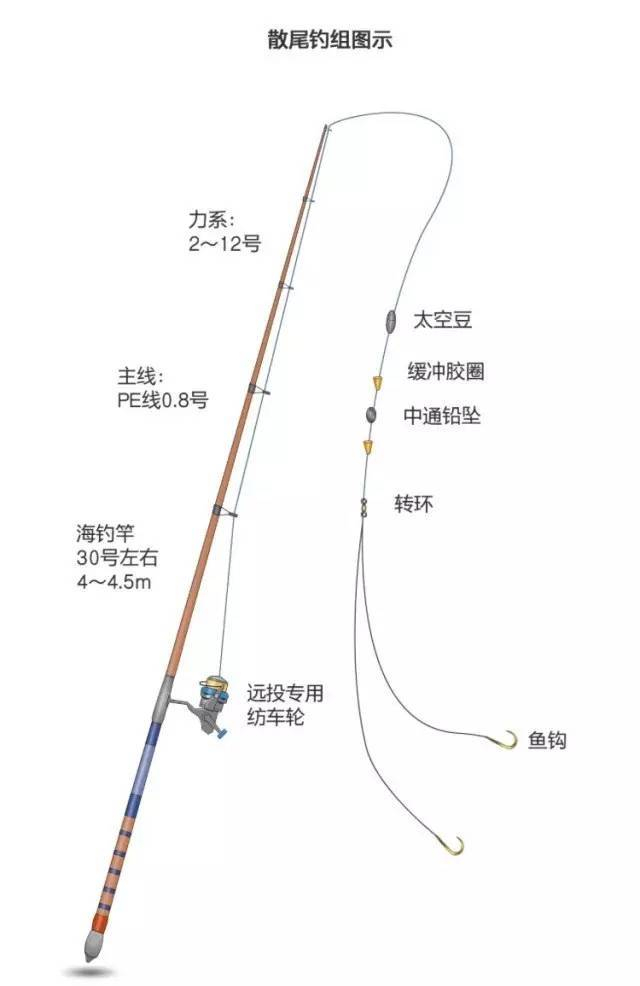 海钓第一课学会这三种钓组就会使用沉底钓了