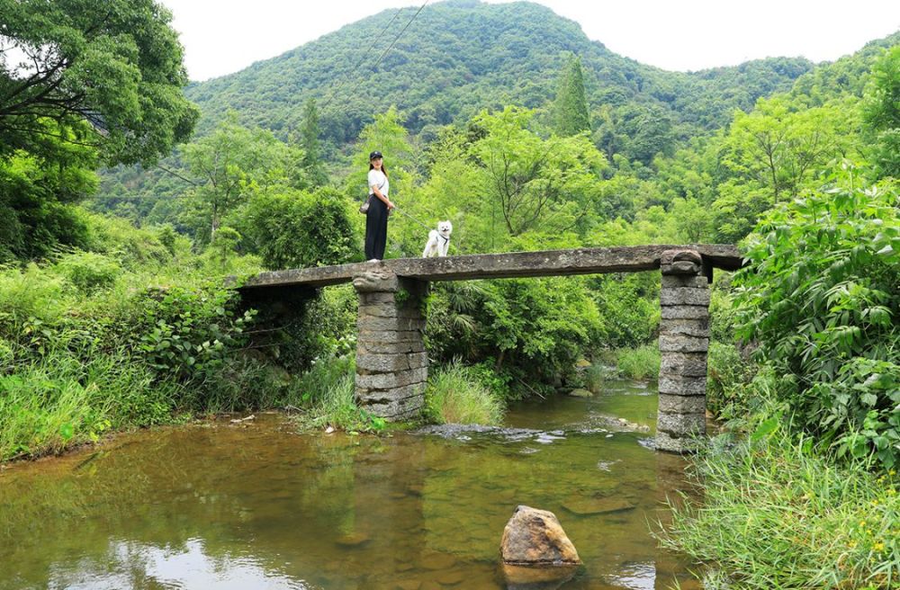 台州市桐坑村隧道是唯一路四面环山的世外桃源