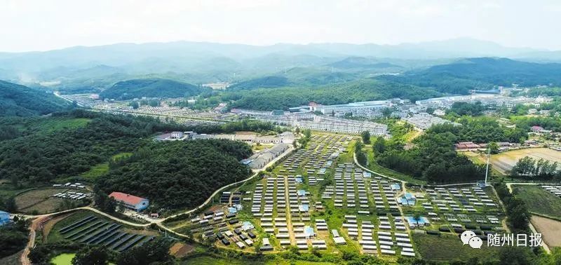 随县三里岗镇吉祥寺村香菇基地