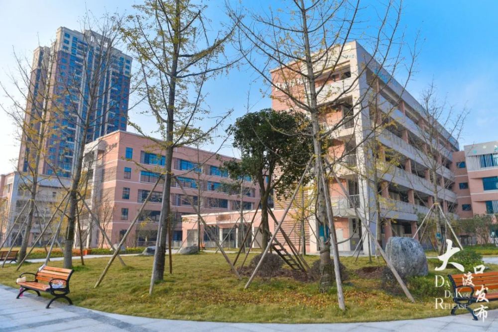 大渡口区实验小学教育集团慧泉校区在"多维一体,教育大渡"区域教育