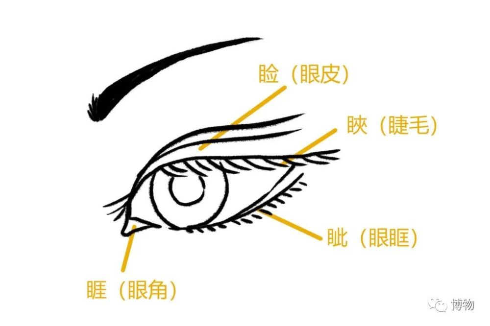 有个成语"睚眦必报",睚(yá)指眼角,睚眦就是发怒瞪眼睛——通常只