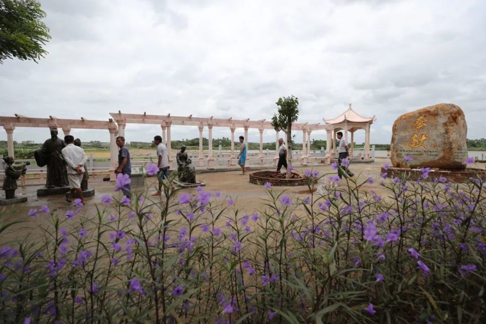 湛江徐闻前山镇:畅游海鸟乐园 赏滨海乡村之美