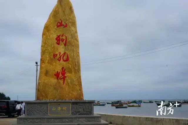 湛江徐闻前山镇:畅游海鸟乐园 赏滨海乡村之美|湛江徐闻|前山镇|海鸟