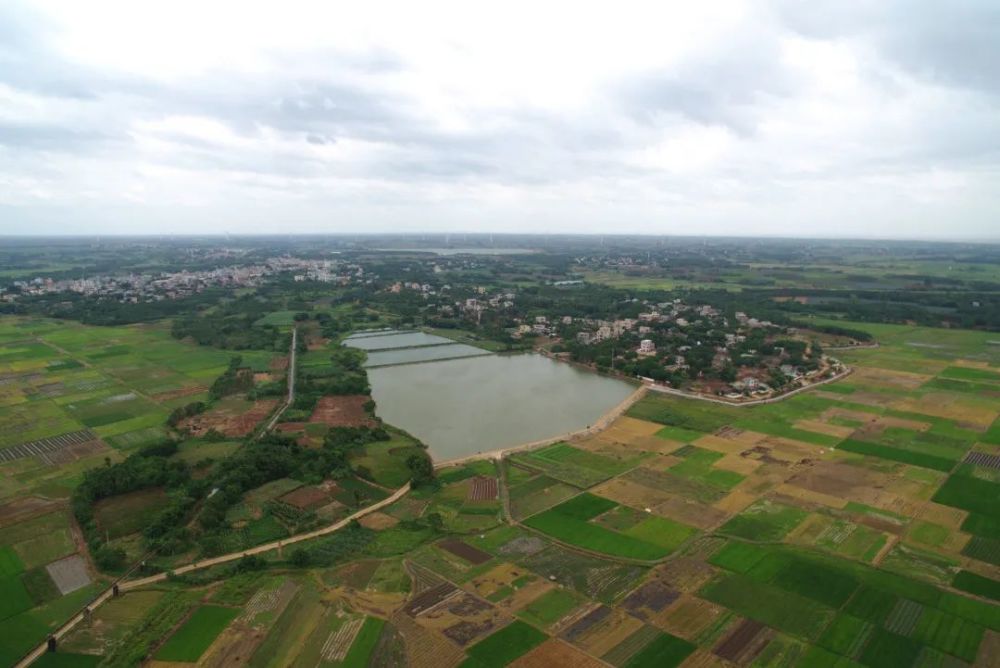 湛江徐闻前山镇畅游海鸟乐园赏滨海乡村之美