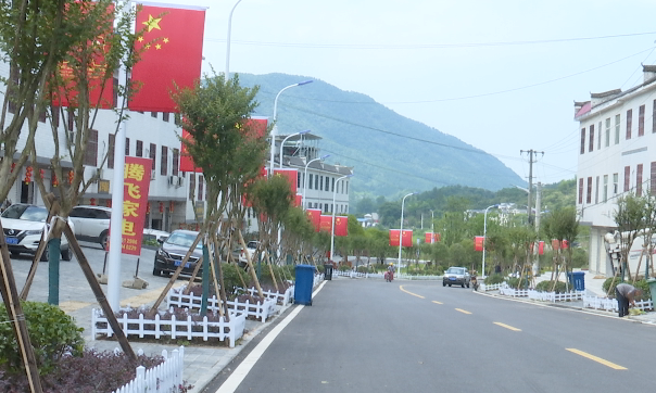 学习贯彻十九届六中全会精神罗田县白庙河镇聚焦发展落实十九届六中