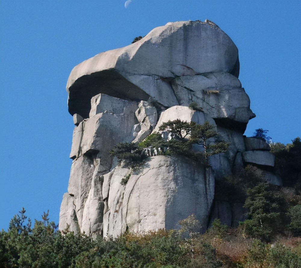 总面积3000公顷,共分为聚云峰,祖师峰,紫柳园,南溪源,龙门峡谷五大