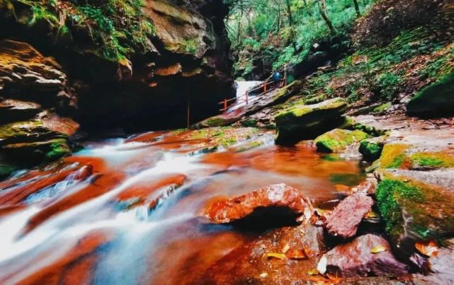 最高奖励5000元,泾源县旅游形象宣传口号征集活动开始啦!