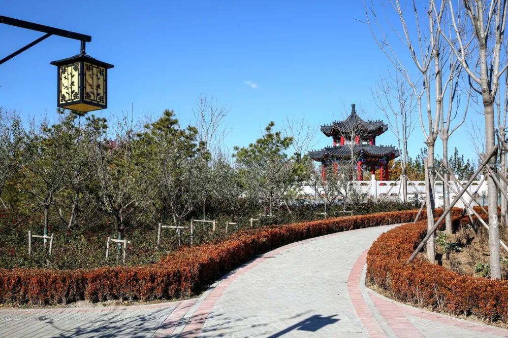 书法家薛凤池(薛凤林个人资料),书法家薛凤池(薛凤林个人资料),书法家薛凤池,第1张