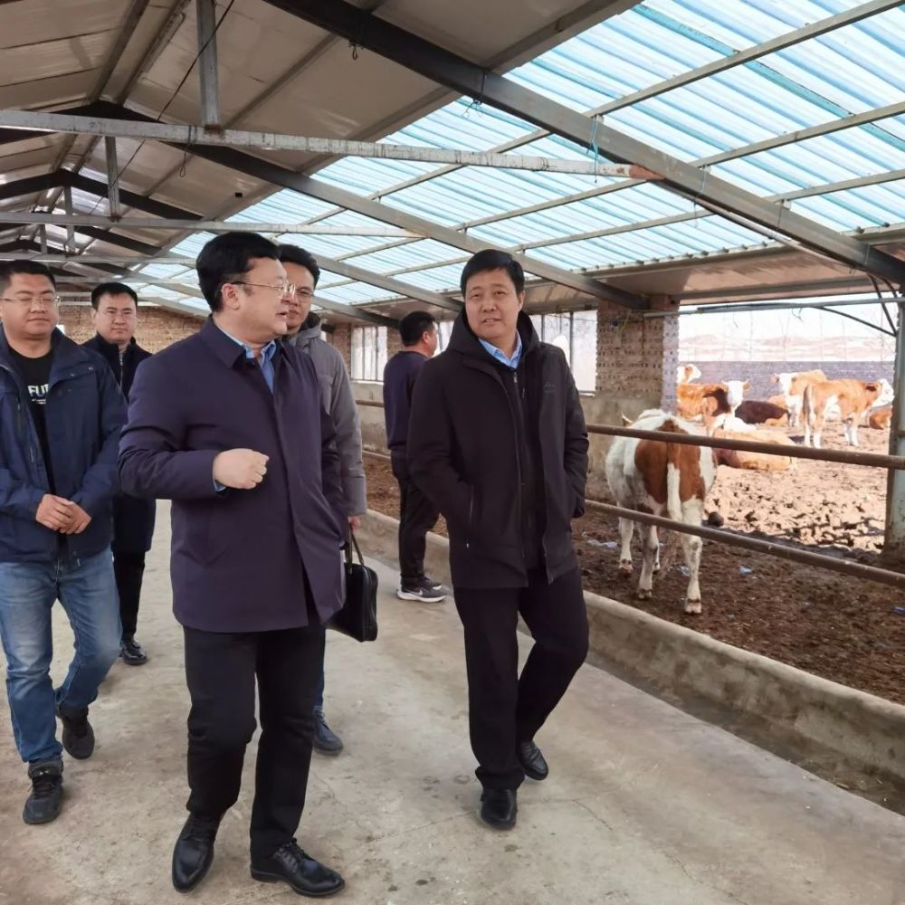 【统战要闻】通辽市委常委,统战部部长赵航赴库伦旗开展调研活动