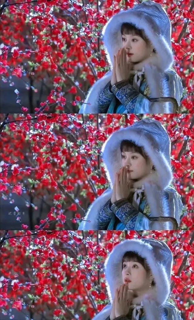 倚梅园一别之后娘娘的御寒神器升级了