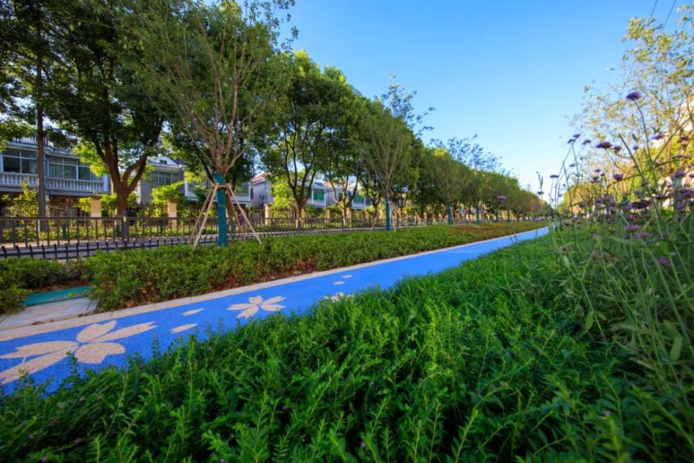 花桥口袋公园十全十美