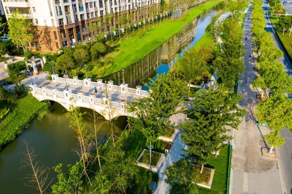 花桥口袋公园十全十美