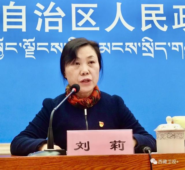 自治区人社厅一级巡视员 刘莉下一步,我们将以开展根治欠薪冬季专项