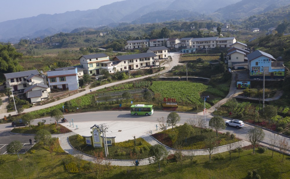 新华社发(秦廷富 摄)11月26日,在重庆市北碚区三圣镇春柳村公交车站