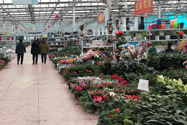 石河子新开了一个大型市场,先逛为快……_腾讯新闻