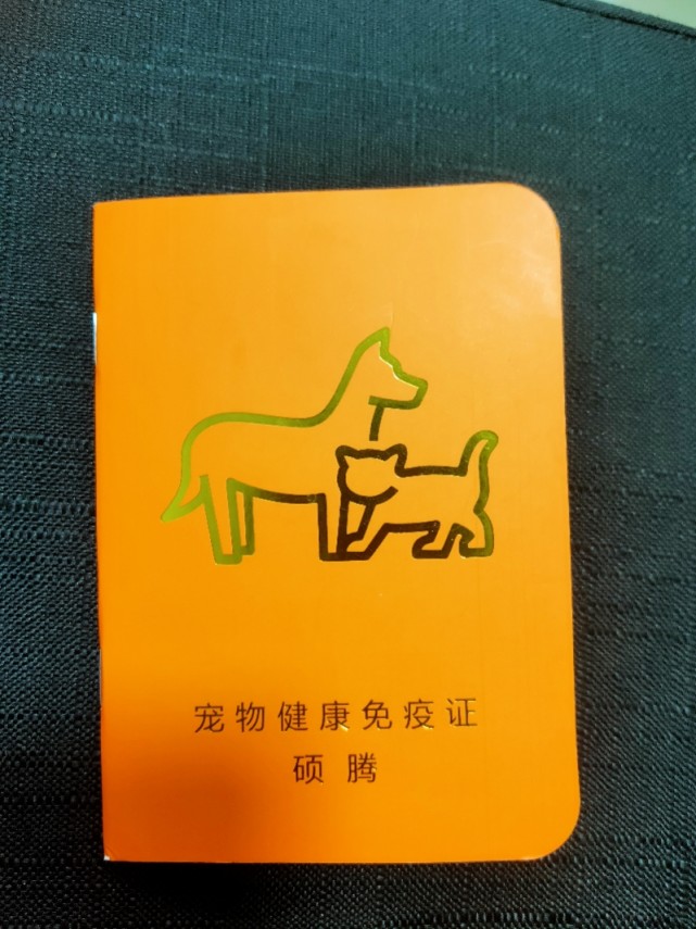 宠物免疫证造假调查:65元一本,商家伪造狂犬疫苗接种记录