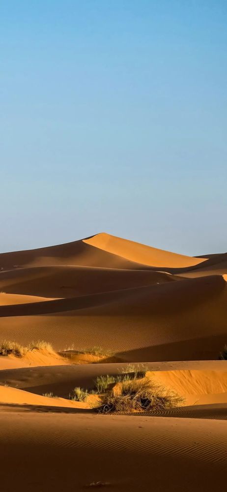 1126壁纸|沙漠壁纸高清