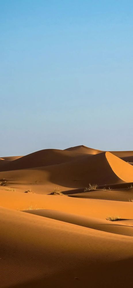 1126壁纸|沙漠壁纸高清