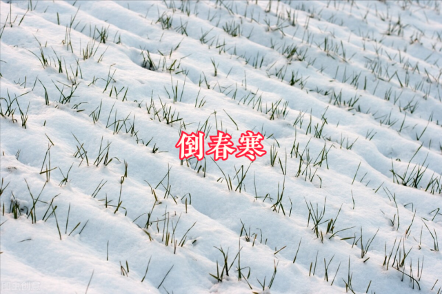 的意思就是阴历十月份下大雪,来年春天就会很冷,容易出现"倒春寒"现象