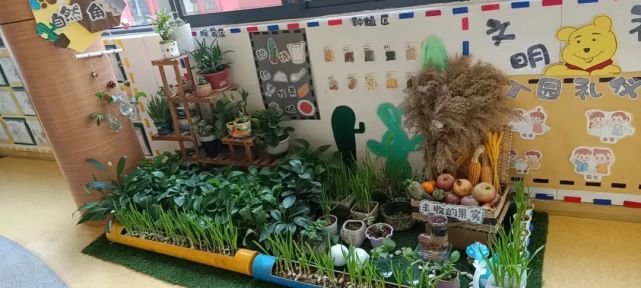 幼兒園環創設計之植物區角