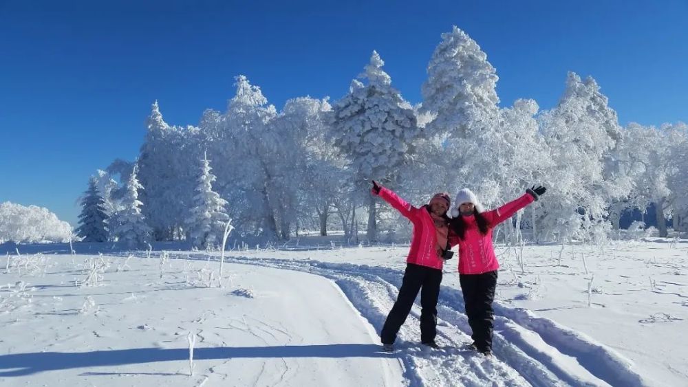 以其大森林,大冰雪,大山水,大峡谷,大瀑布,恢弘高远的气势,被誉为龙江