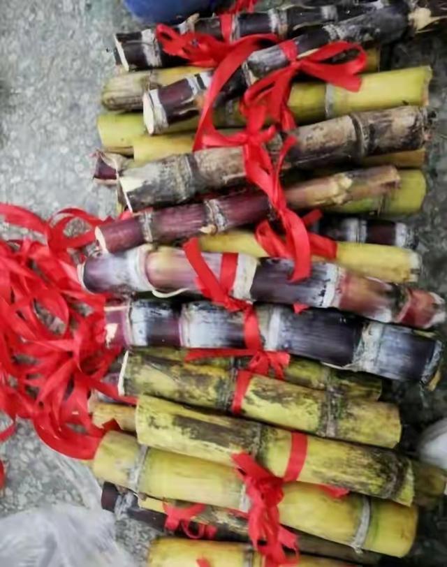 班主任给学生奖励甘蔗,称既可以内服又可以外用,老师用意何在?