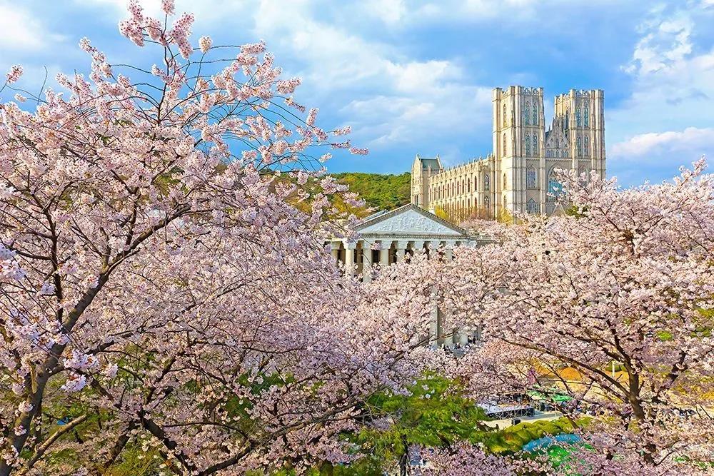 韩国庆熙大学中文硕士mba毕业需要写论文吗