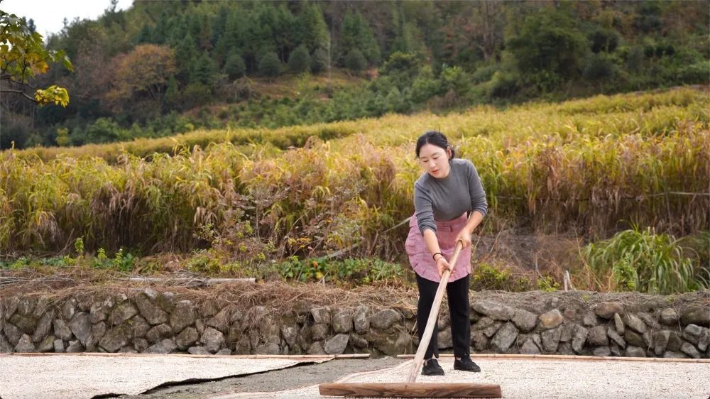 武夷山網紅鄉愁沈丹助力鄉村振興為閩北特產宣傳推廣