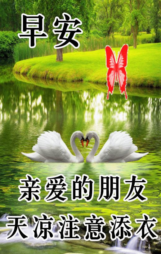 清晨短信祝福你祝你开心每一天早安