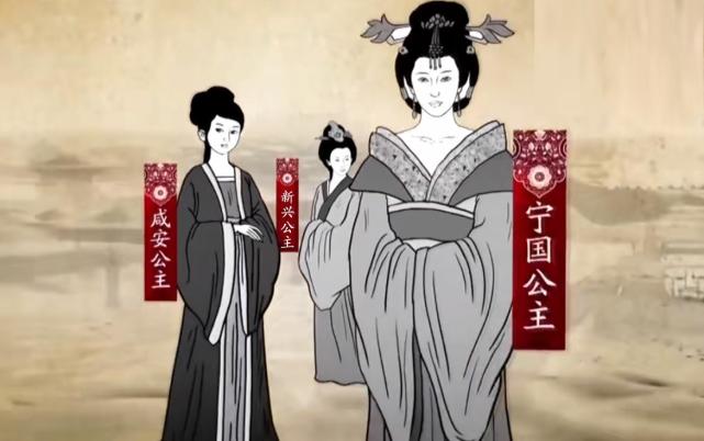 分别是:新兴公主,宁国公主,咸安公主,永安公主,太和公主和安化公主.