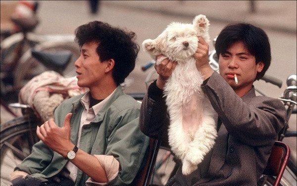 鏡頭下1993年中國老照片:圖2能讓你一夜暴富,圖5已經基本看不到了