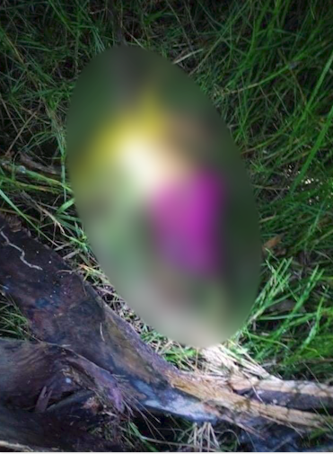 身首异处!缅甸瘾君子吸毒后刀砍侄子,令人害怕_腾讯新闻