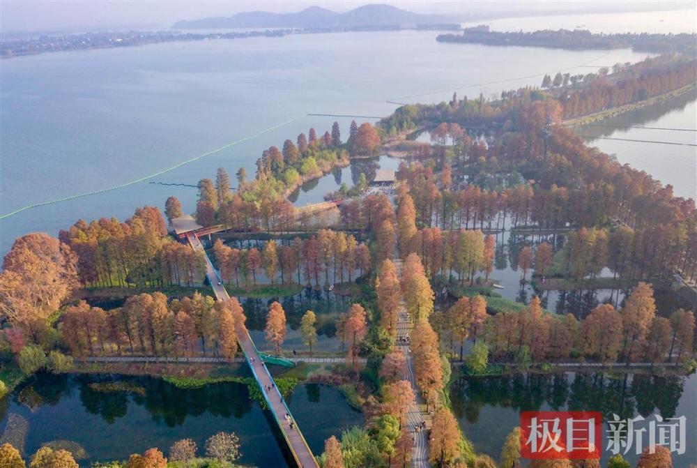 初冬的东湖生态湿地公园美不胜收