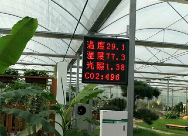 关键是控来源|大棚蔬菜种植|病虫害|蔬菜大棚|肥料|二氧化碳