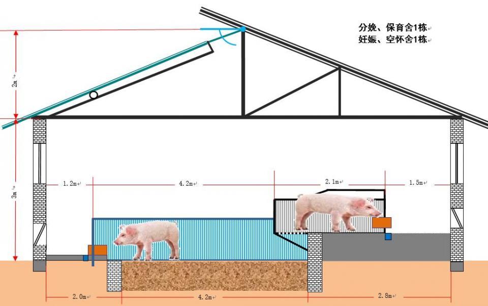 存欄100頭母豬的繁育豬場需配置6種不同標準的豬舍缺一不可