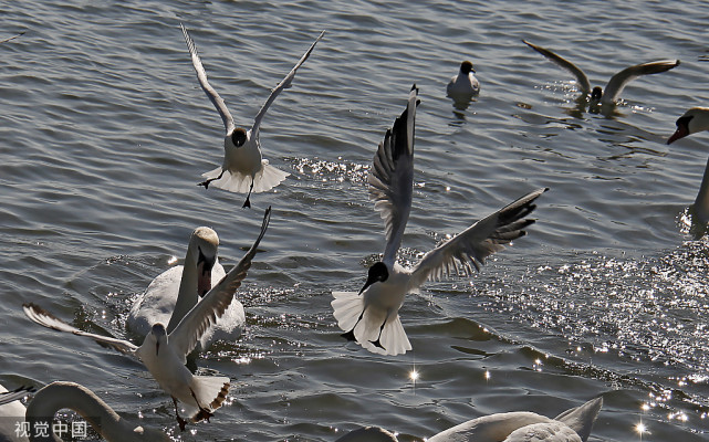 捕鱼儿海旅游景点介绍