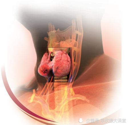 甲狀腺癌要注意什麼日常要如何預防飲食上如何調理