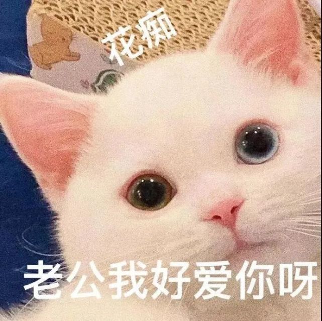 表情包:游戏会输,爱老婆稳赢