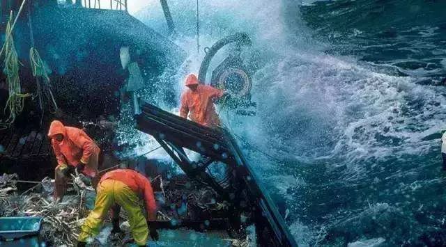 188cm北美海王火了下海7天血赚100万政府追着送老婆求求你别顾着赚钱