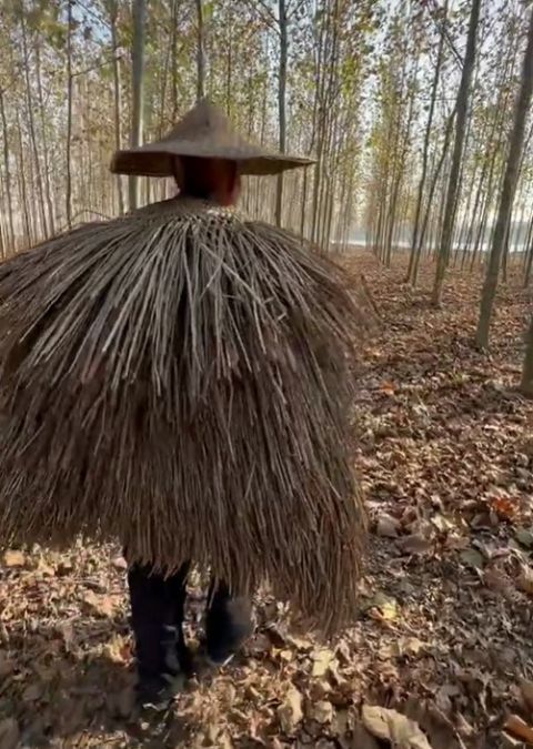 妥妥的武林高手既视感行走在树林间身披亲手制作的蓑衣老人头戴斗笠