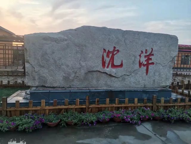 沈洋镇:绘就美丽乡村新画卷