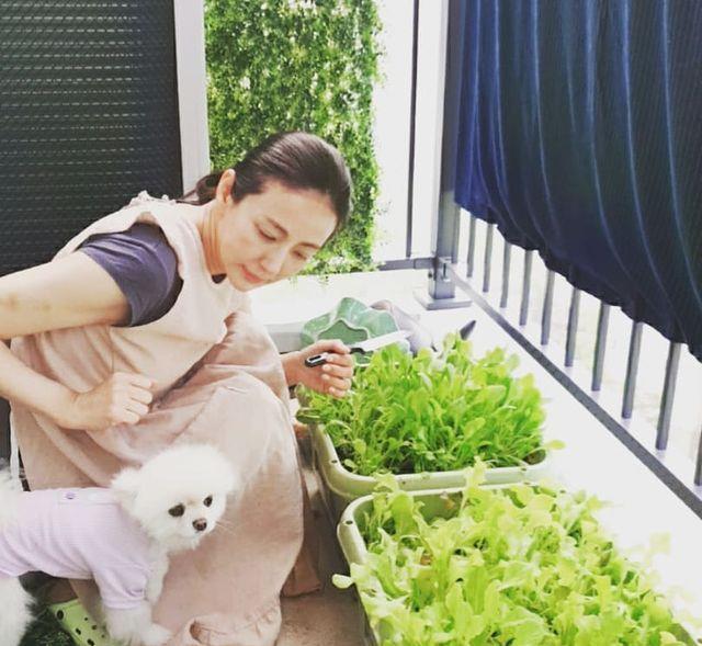 她是《看了又看》的金珠,尹海英婚变后再遇良人,公主要优雅下去