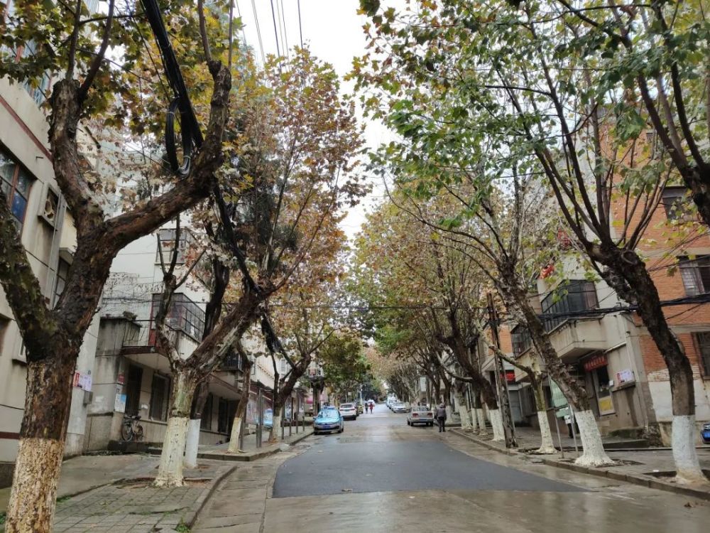 有无数的新店都丝毫影响不了它那种沉稳的节奏老城区的美食街特别多