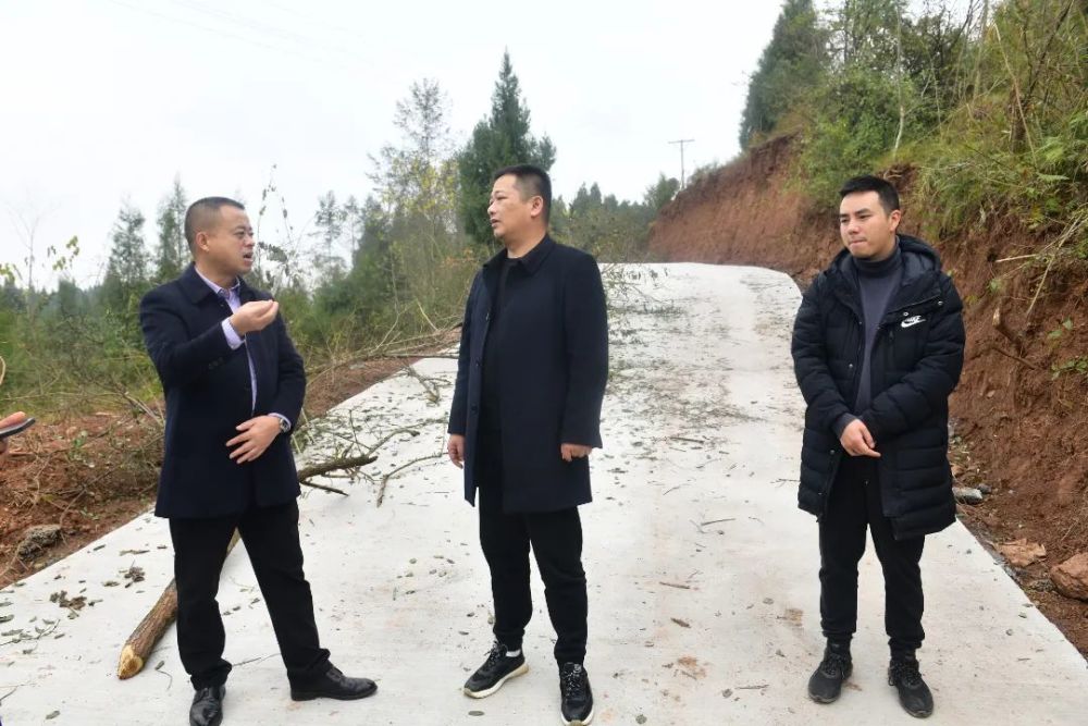 蓬安县检察院代理检察长王能钊到银汉镇调研指导脱贫攻坚成果巩固暨