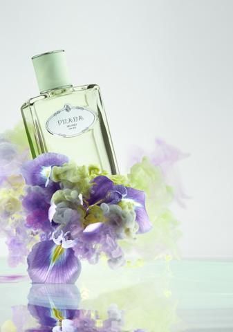 普拉达鸢尾花简单温柔洁净清淡的鸢尾香水
