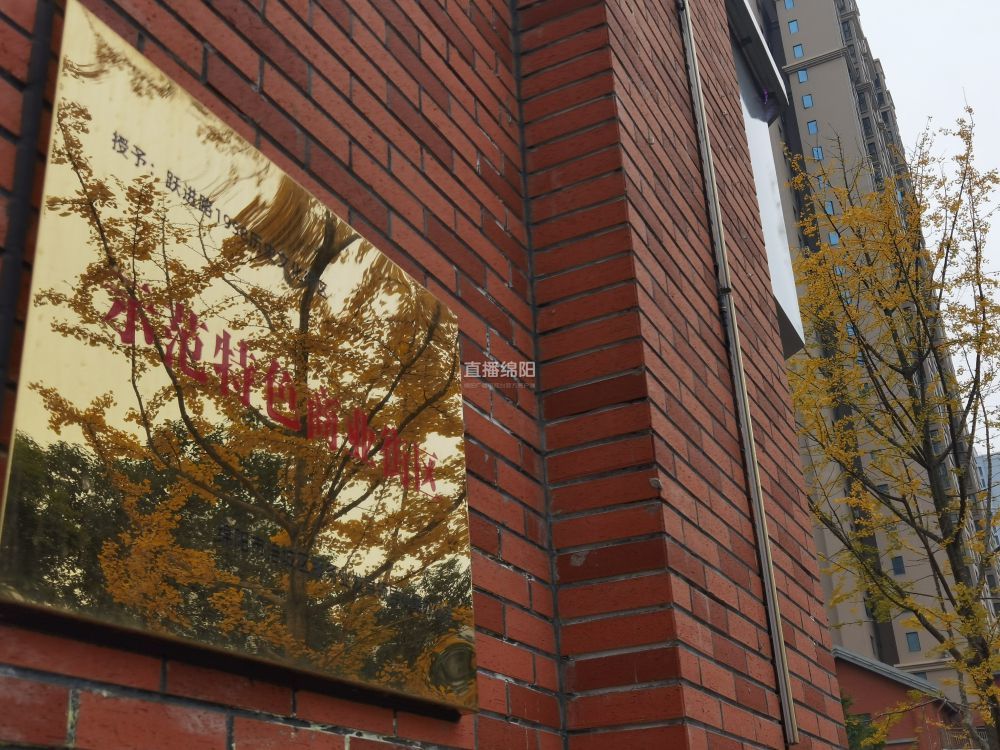 第二站:跃进路1958以科技著称的绵阳,工业的起步和发展始终绕不开一条