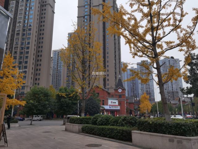 特色街区丨跃进路1958 初心不忘 故事依旧